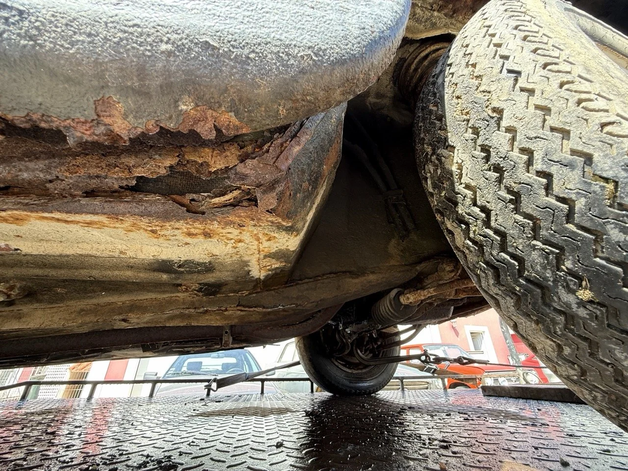 IMG_3475 – grande.jpeg