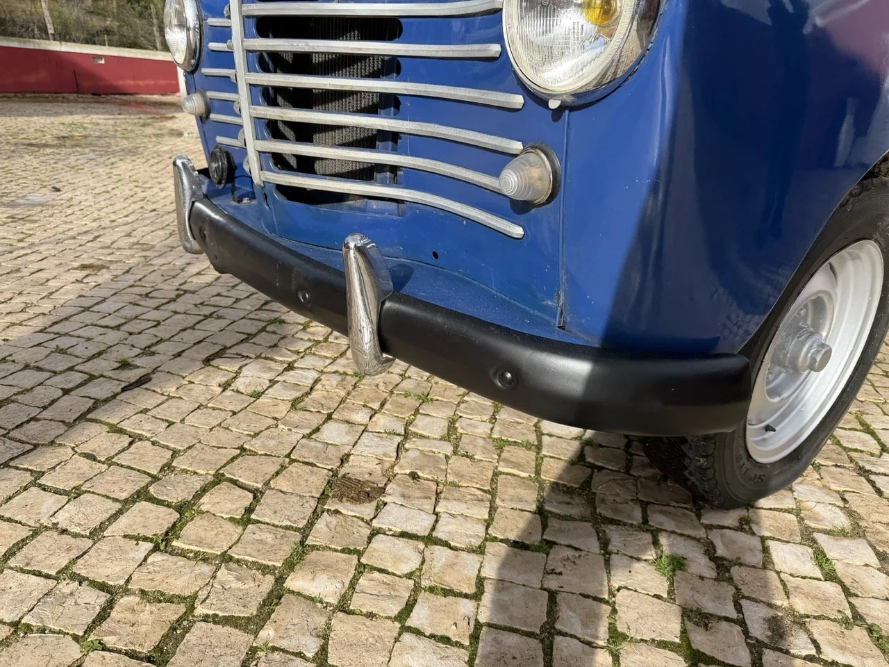 IMG_8131 – grande.jpeg