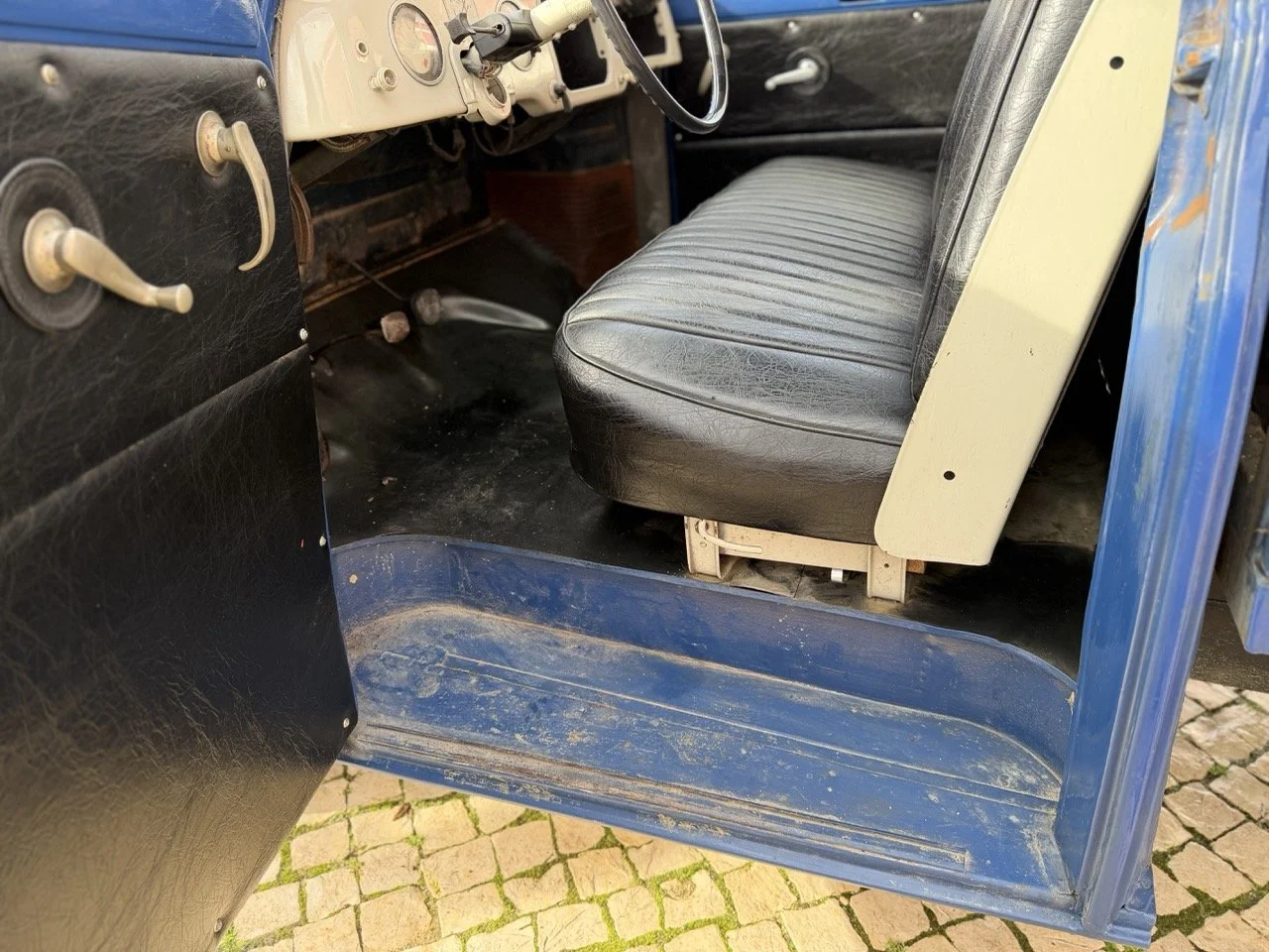 IMG_8086 – grande.jpeg