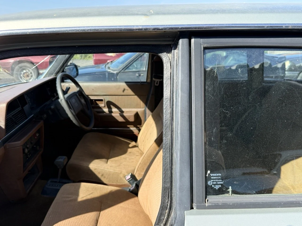 IMG_1175 – grande.jpeg