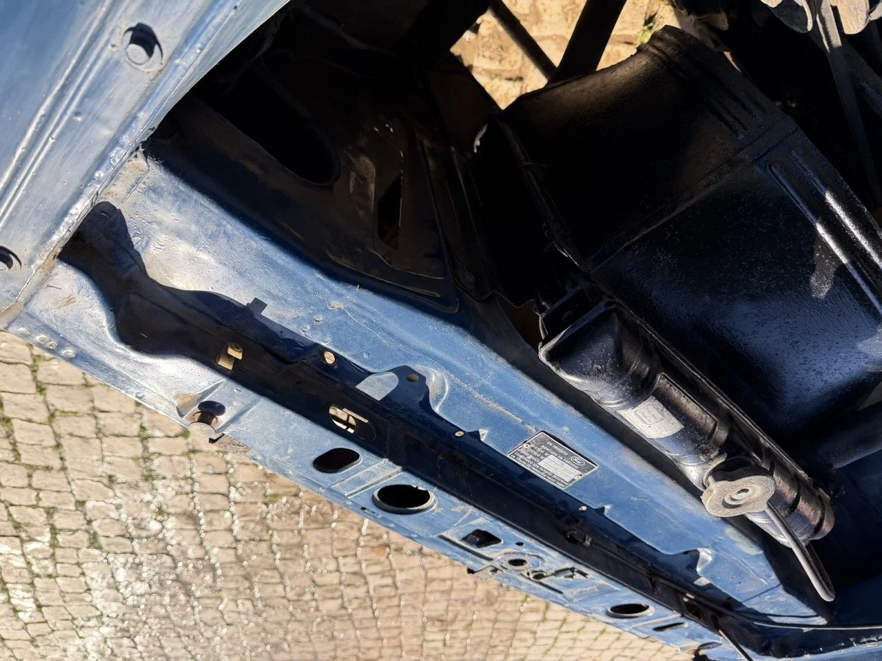 IMG_1847 – grande.jpeg