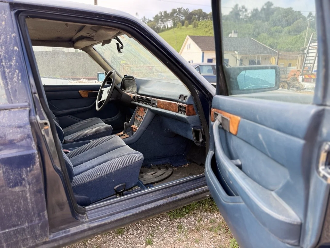 IMG_3377 – grande.jpeg