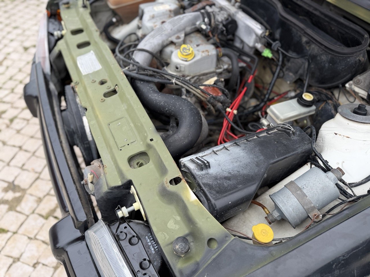 IMG_1351 – grande.jpeg