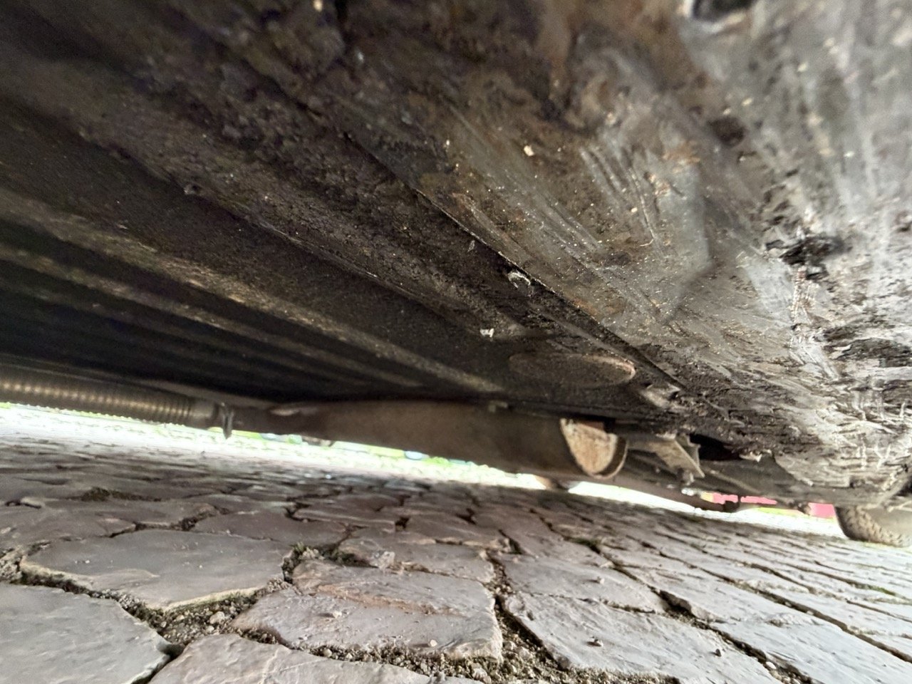 IMG_3779 – grande.jpeg