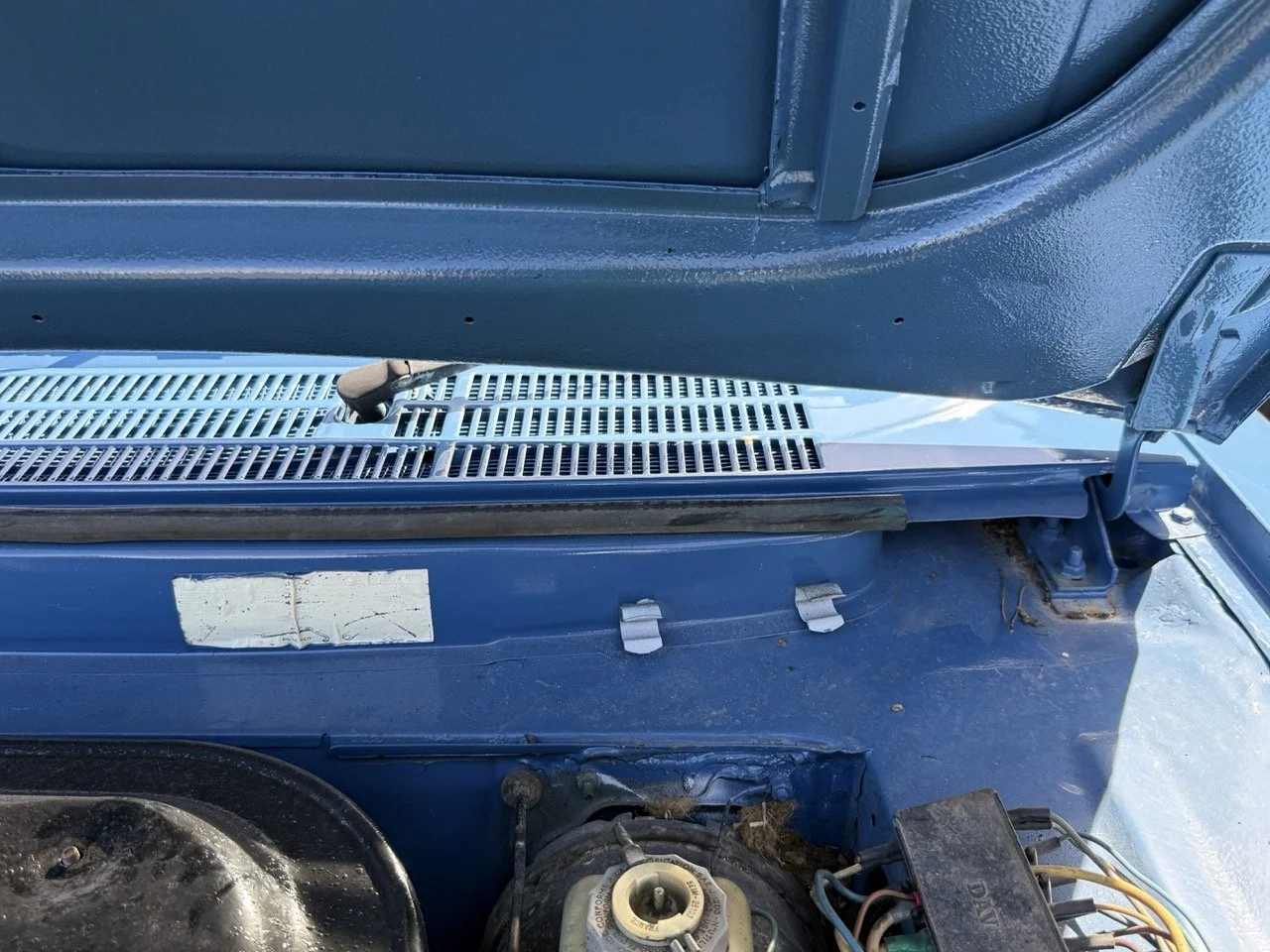 IMG_0800 – grande.jpeg