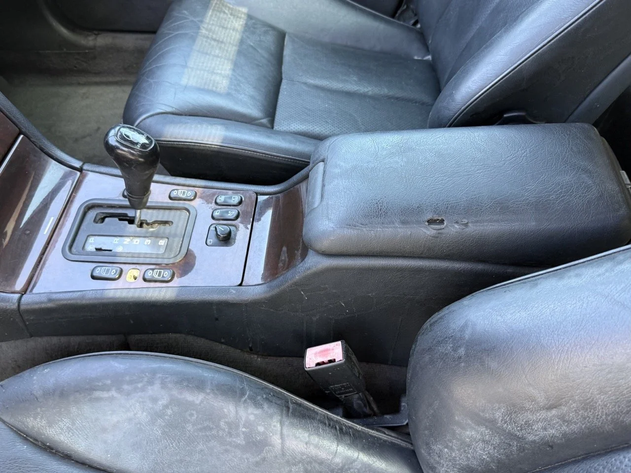 IMG_1764 – grande.jpeg