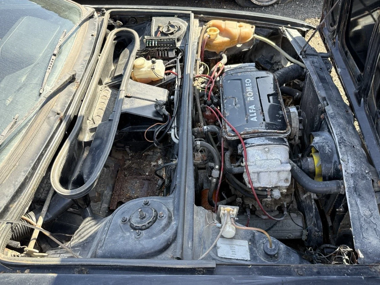 IMG_2936 – grande.jpeg