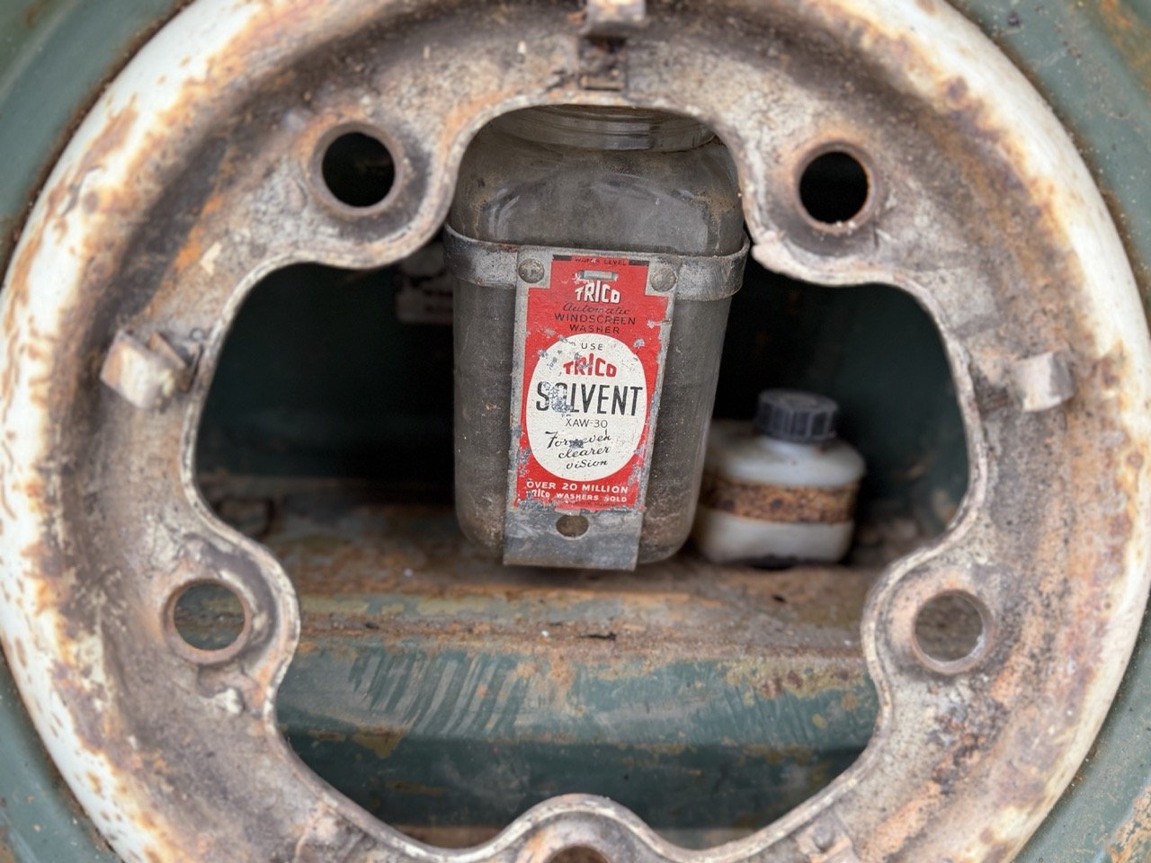 IMG_1177 – grande.jpeg