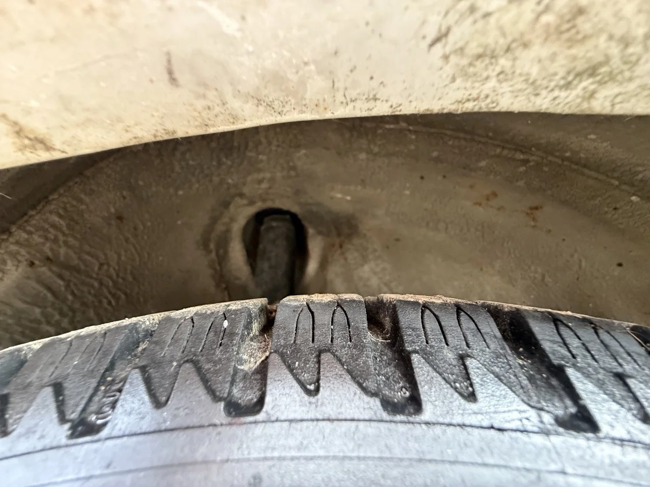 IMG_8661 – grande.jpeg