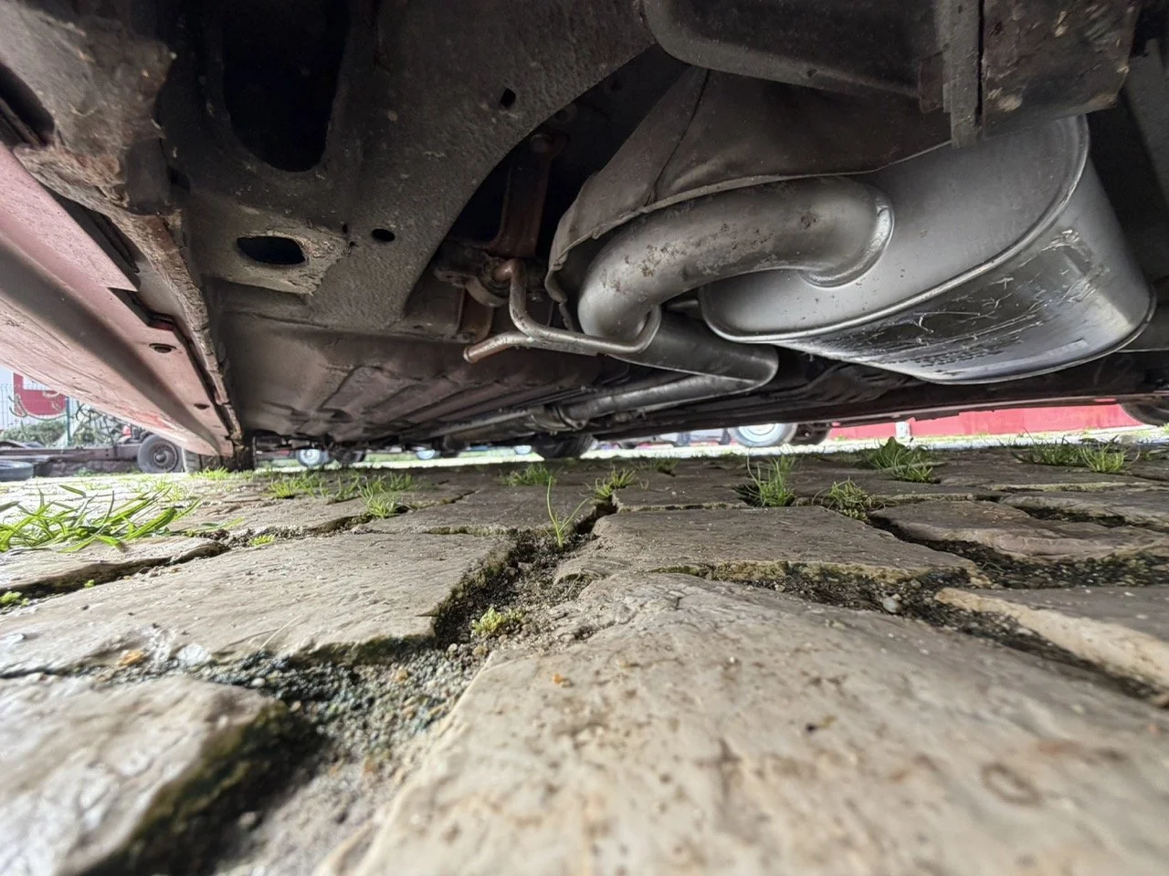 IMG_2322 – grande.jpeg