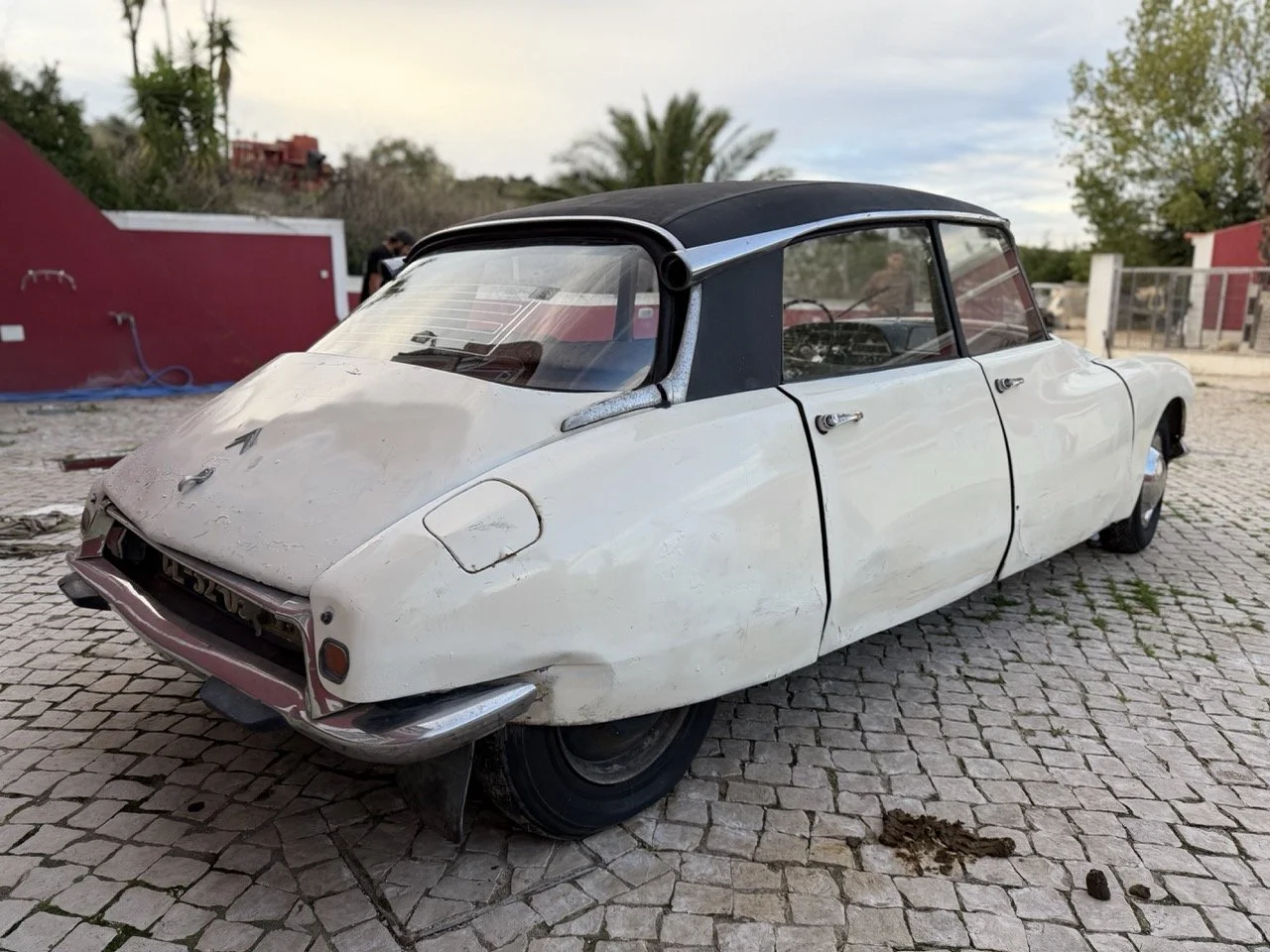 IMG_5930 – grande.jpeg