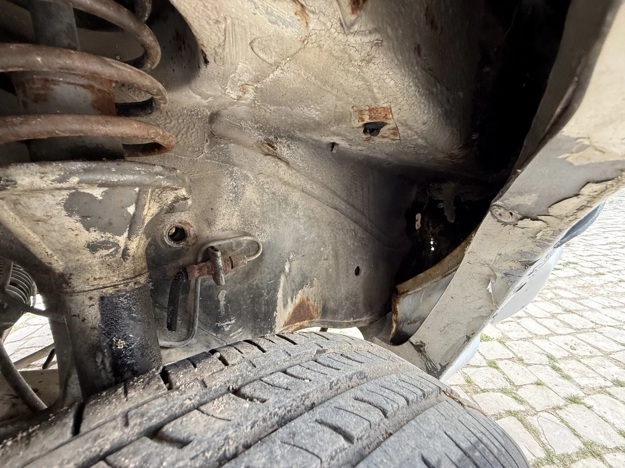 IMG_8649 – grande.jpeg