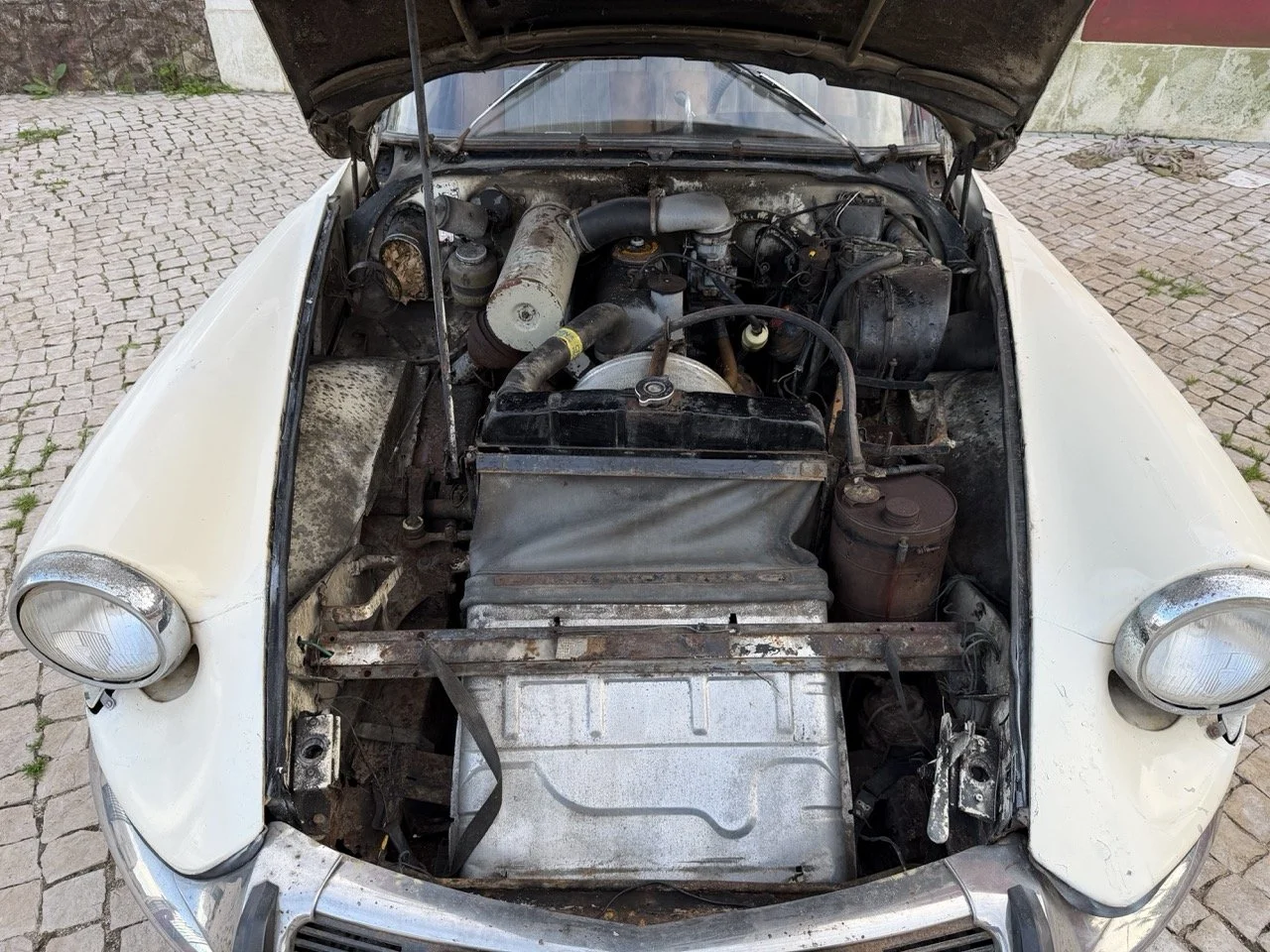 IMG_5958 2 – grande.jpeg