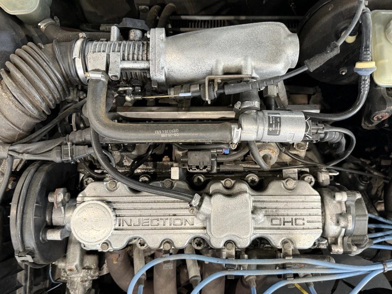 IMG_6622 – grande.jpeg