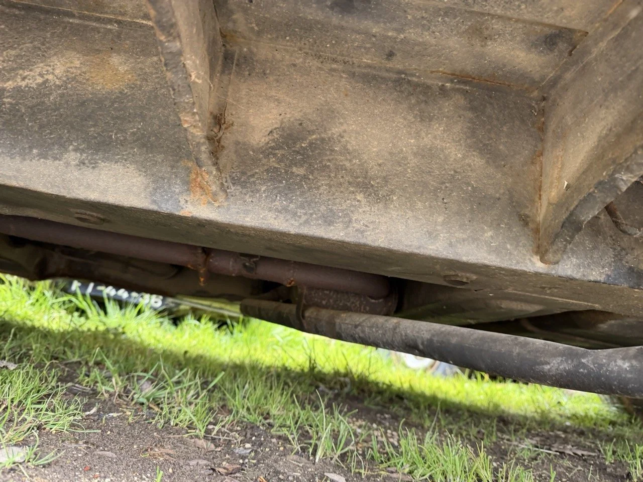 IMG_1350 – grande.jpeg