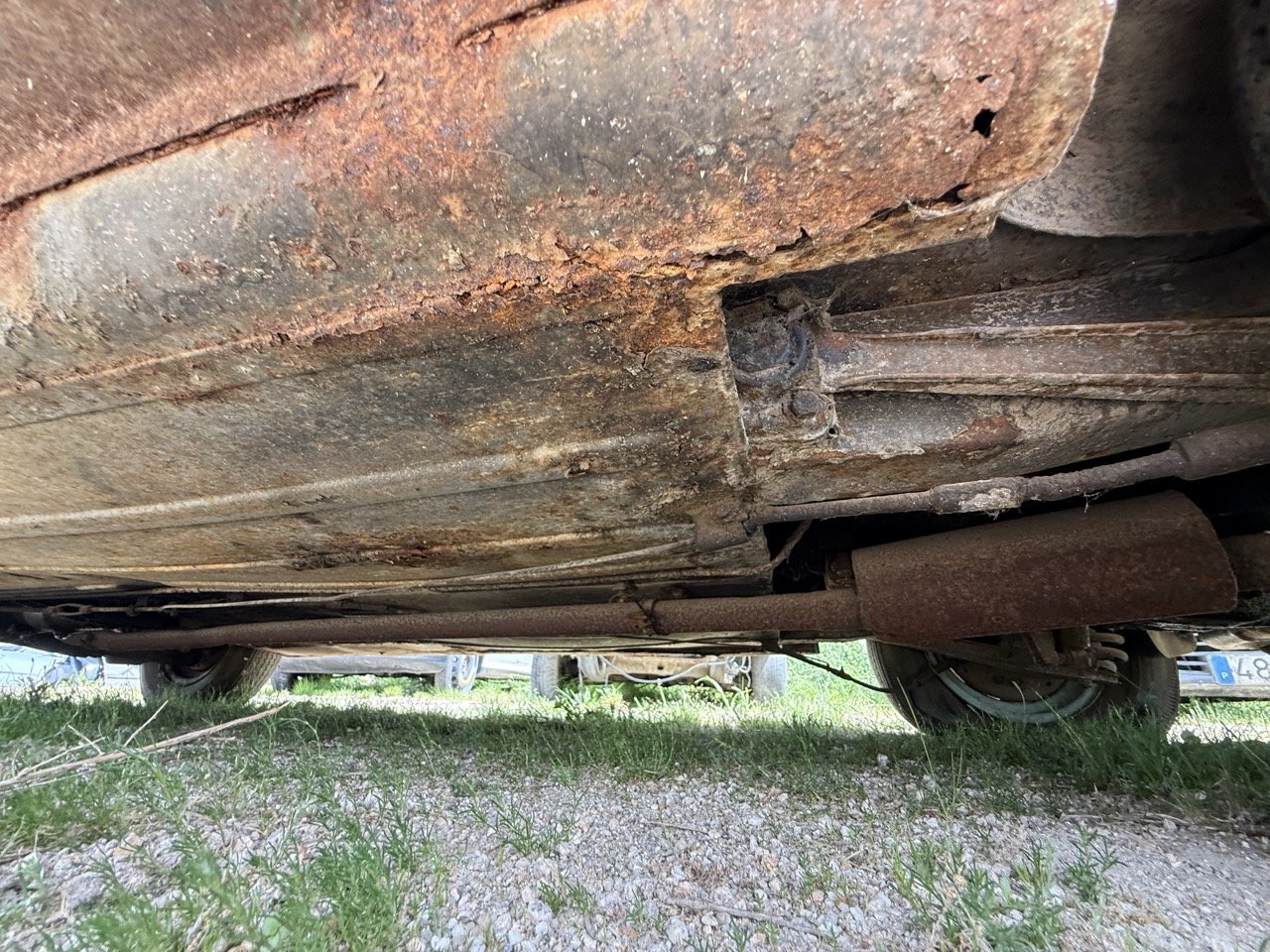 IMG_1431 – grande.jpeg