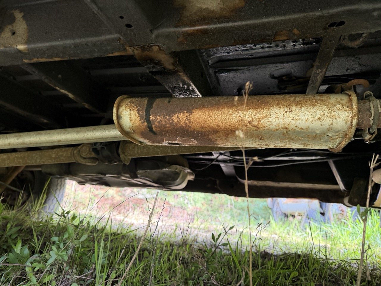 IMG_3899 – grande.jpeg