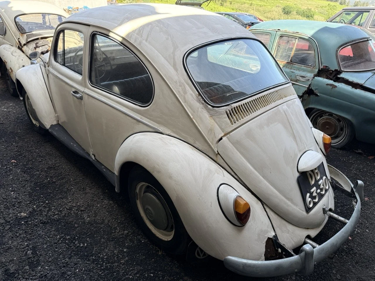 IMG_0670 – grande.jpeg