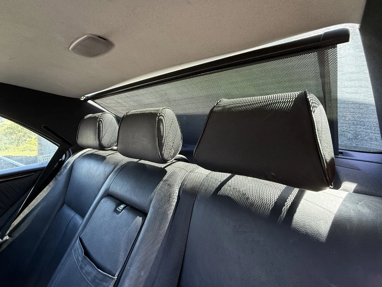 IMG_1772 – grande.jpeg