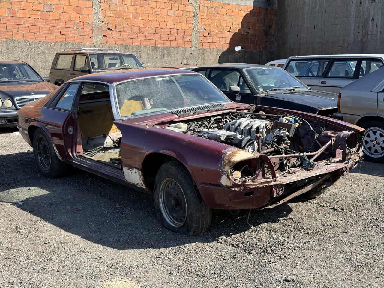 IMG_2965 – grande.jpeg