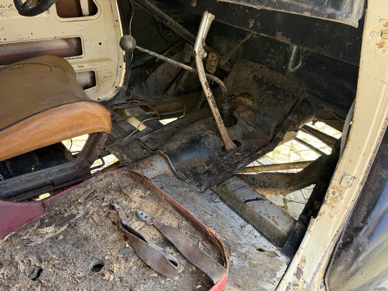 IMG_3722 – grande.jpeg