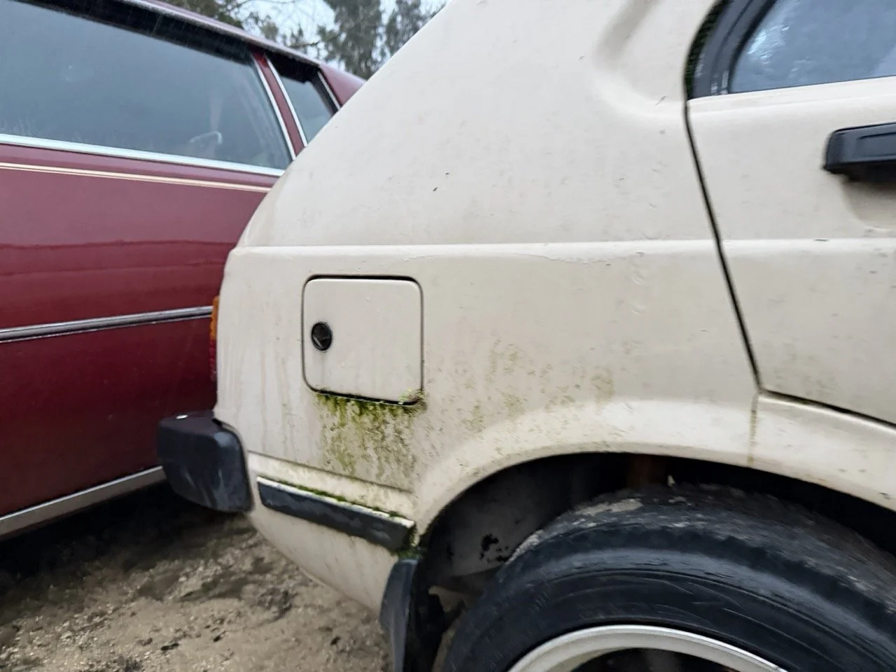 IMG_0212 – grande.jpeg