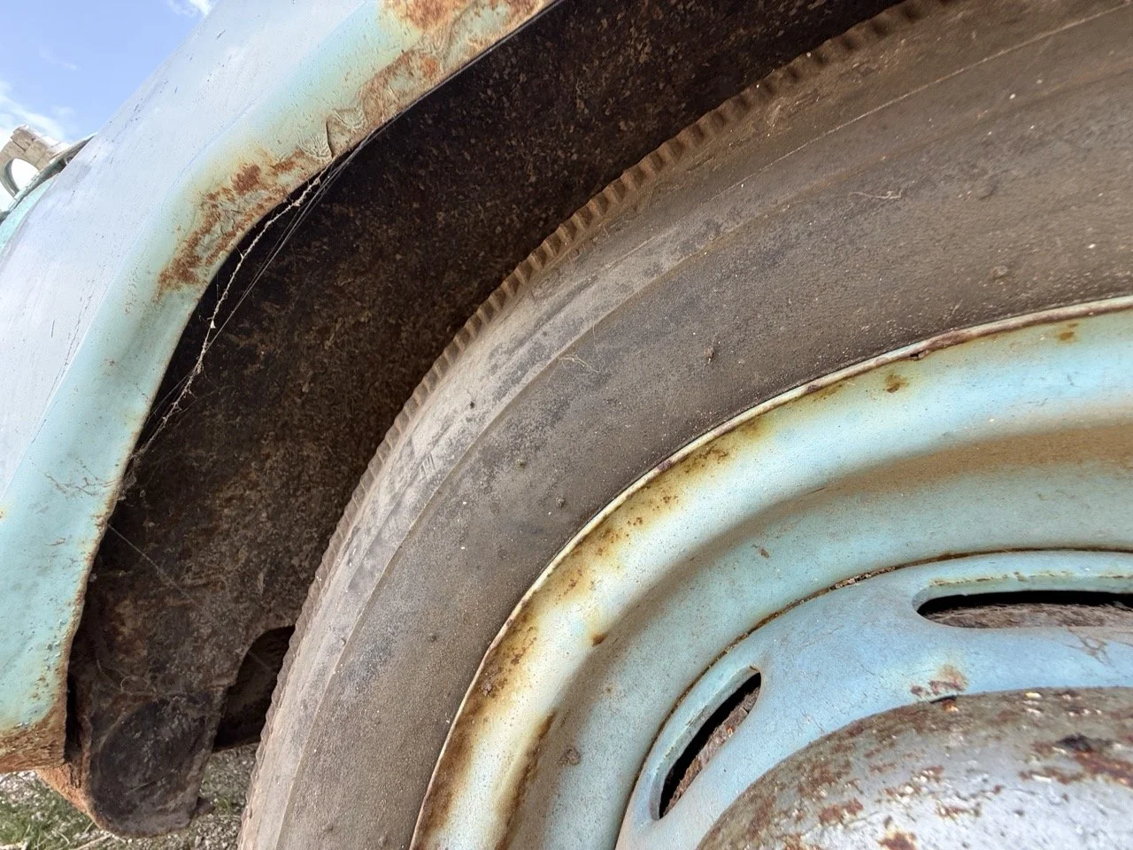 IMG_1429 – grande.jpeg