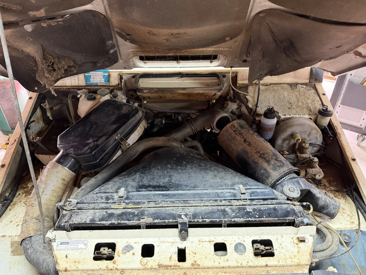 IMG_5198 – grande.jpeg