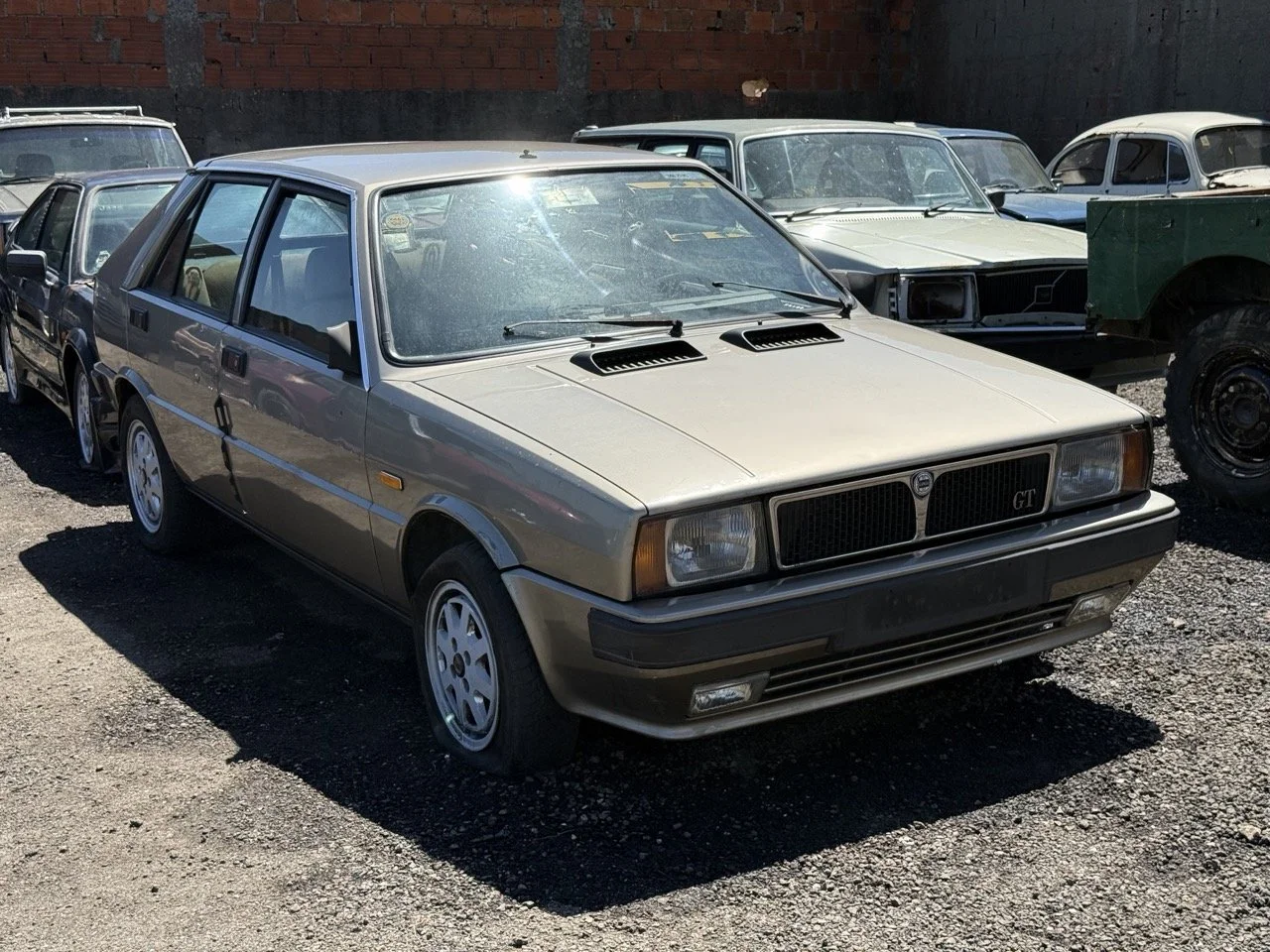 IMG_1868 – grande.jpeg