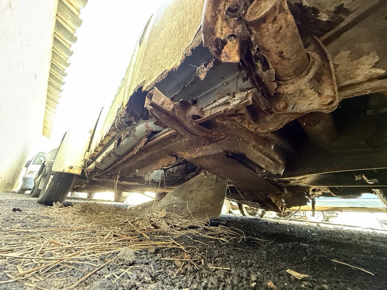 IMG_0648 – grande.jpeg