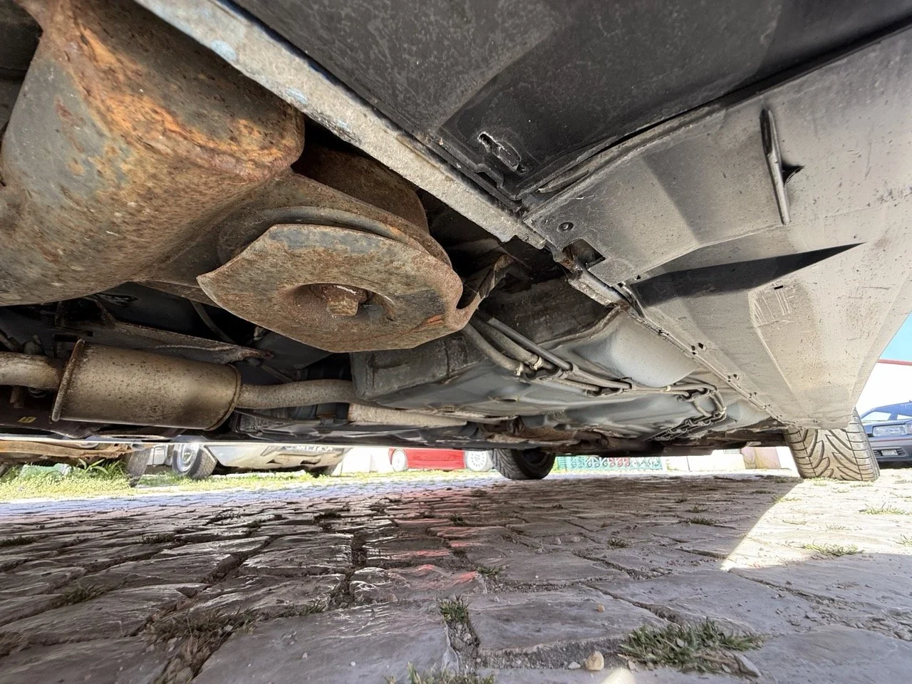 IMG_2514 – grande.jpeg