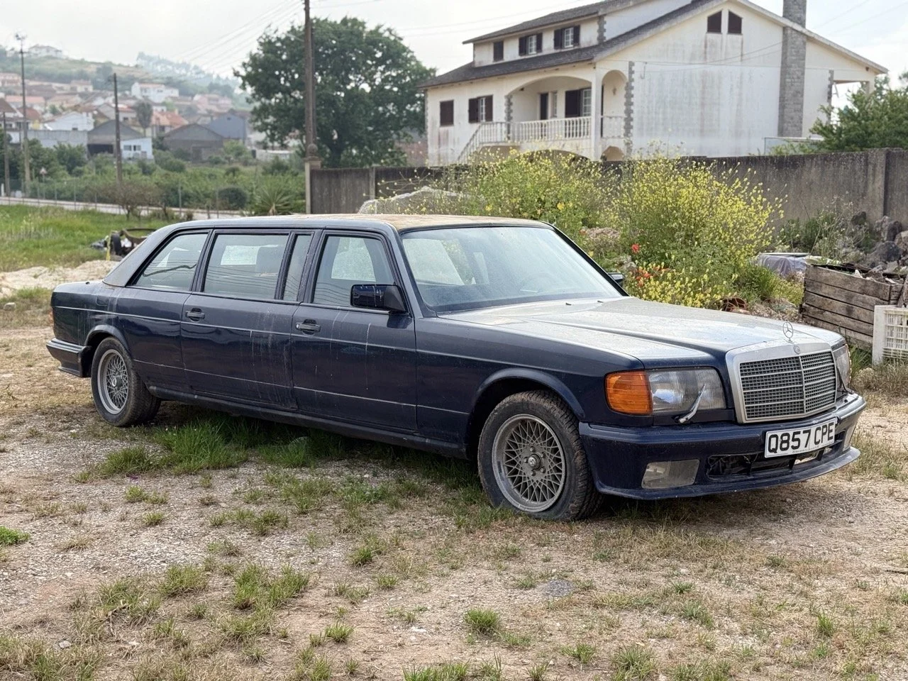 IMG_3341 – grande.jpeg