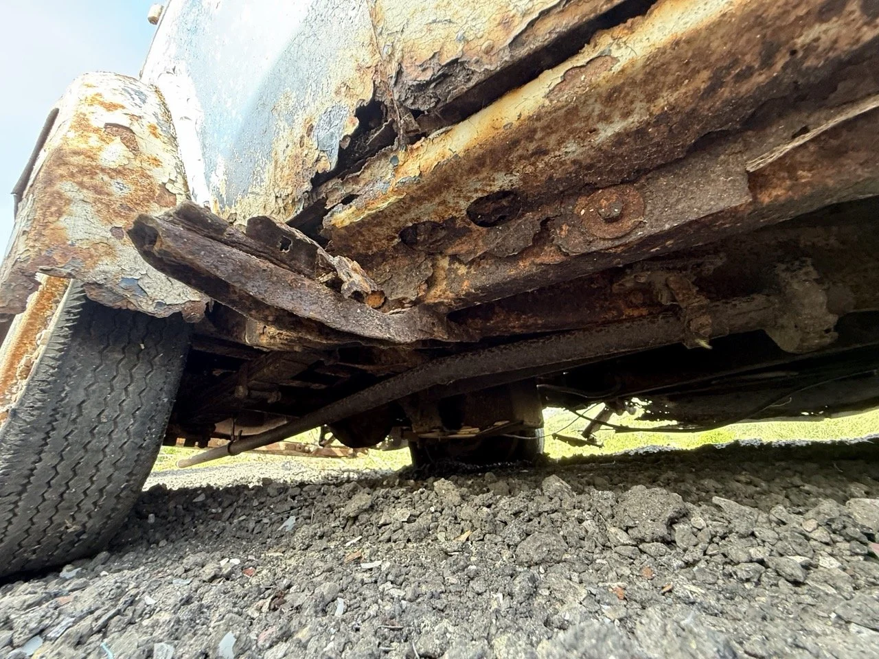 IMG_0372 – grande.jpeg