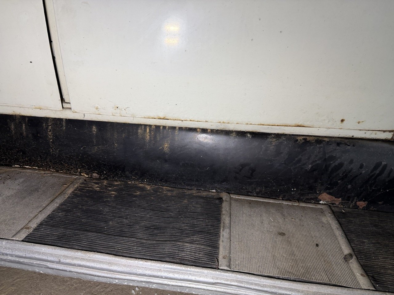 IMG_2457 – grande.jpeg