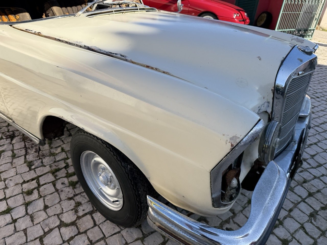 IMG_7063 – grande.jpeg