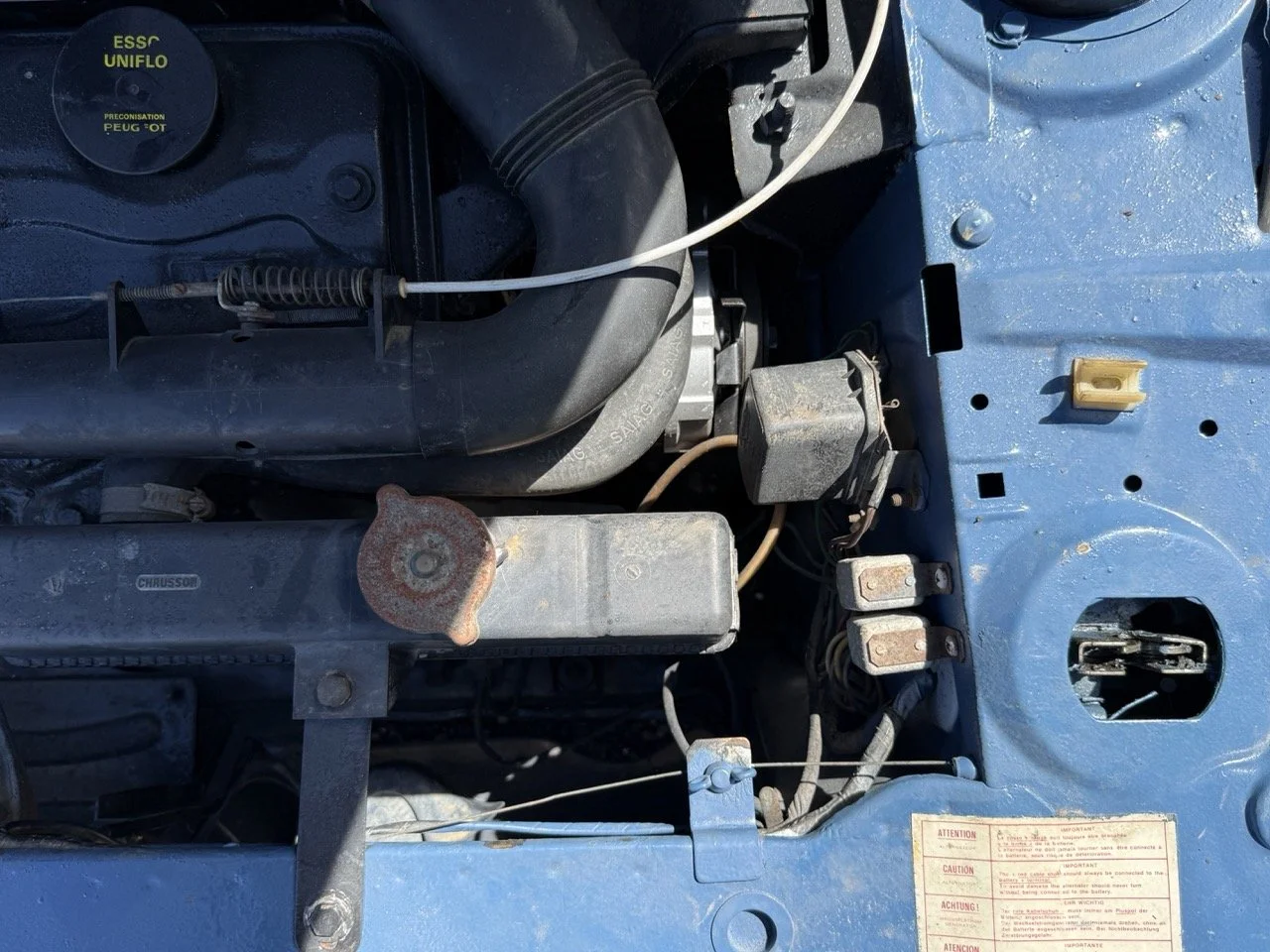 IMG_0795 – grande.jpeg