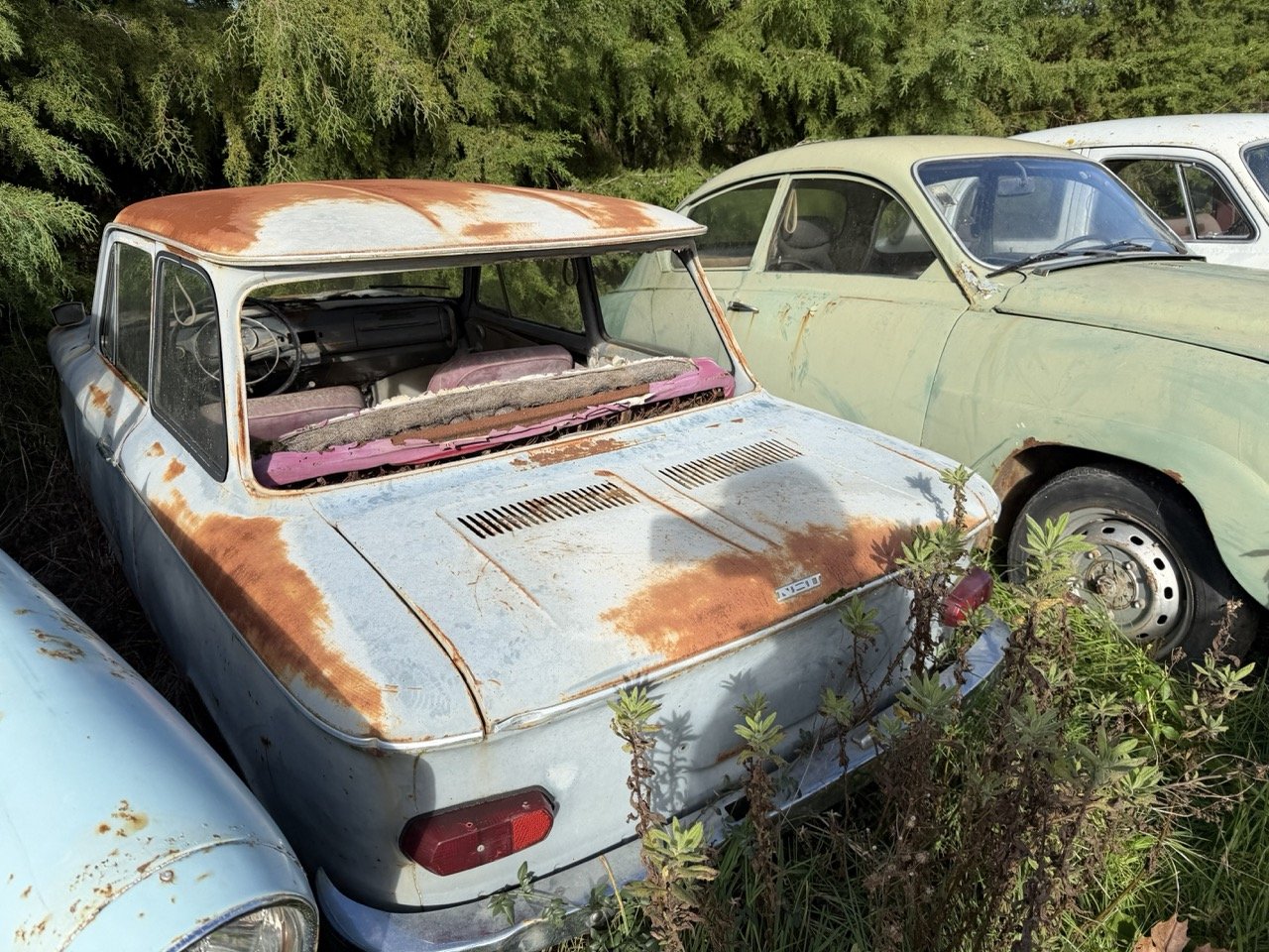 IMG_8548 – grande.jpeg