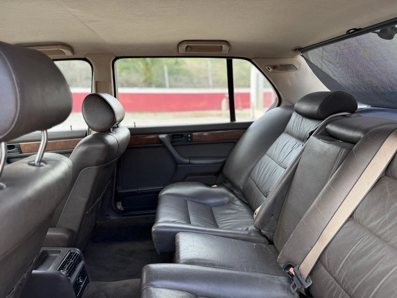 IMG_6919 2 – grande.jpeg