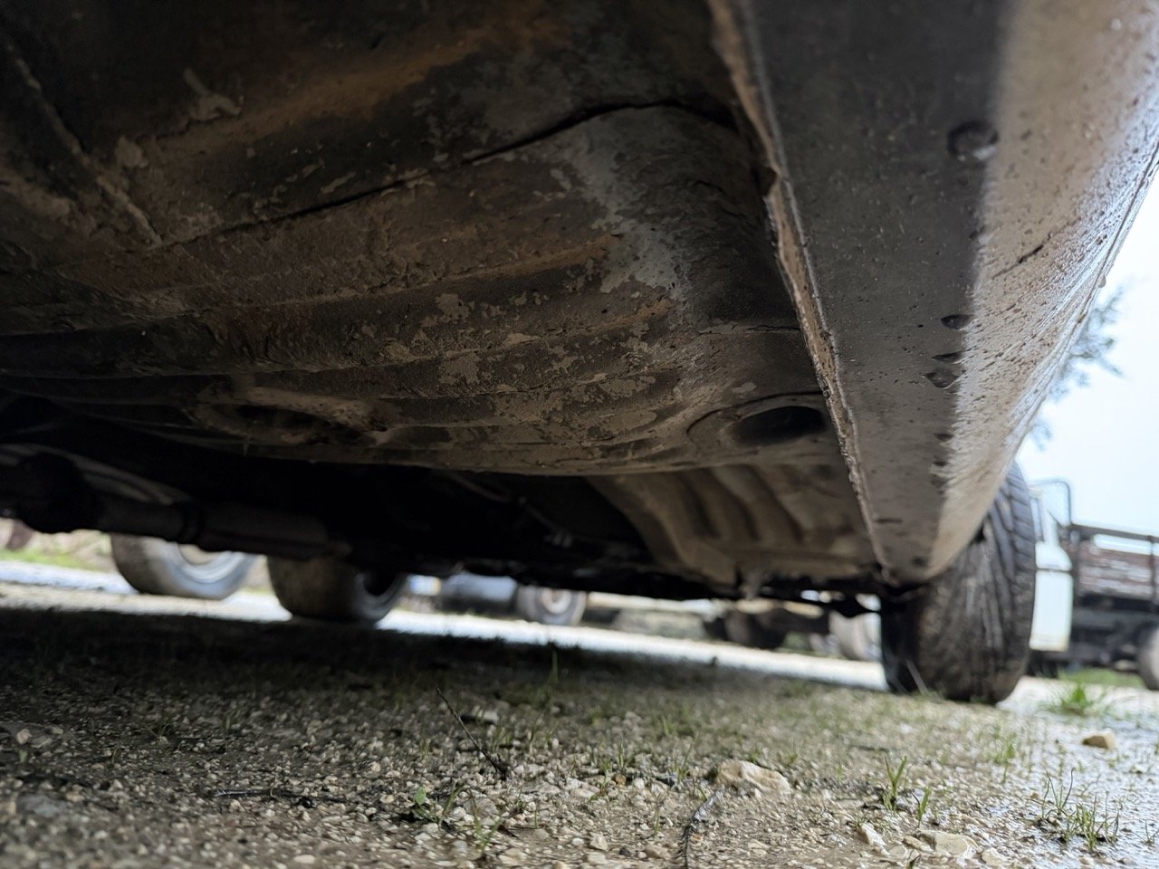 IMG_0216 – grande.jpeg