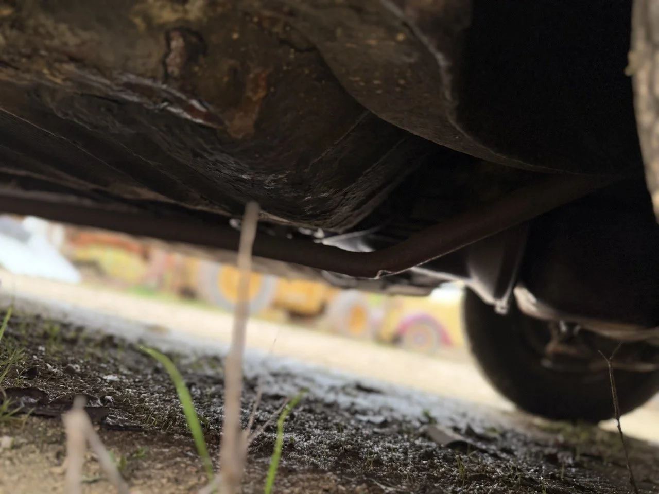 IMG_4973 – grande.jpeg