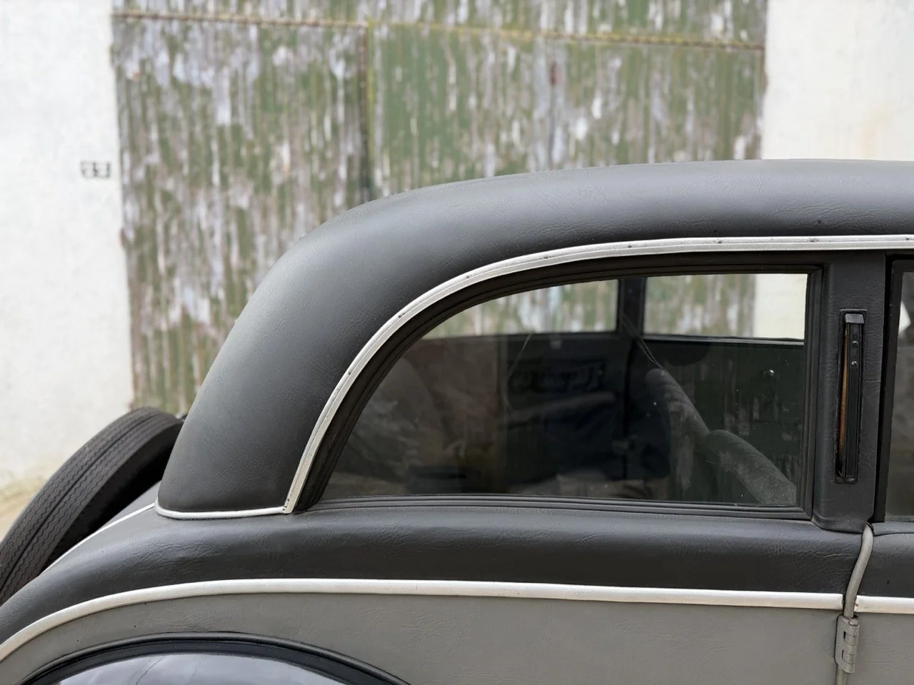 IMG_1458 – grande.jpeg