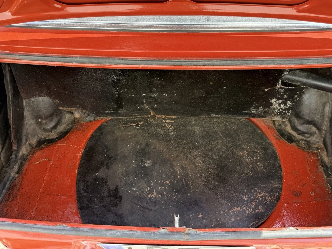 IMG_3628 – grande.jpeg