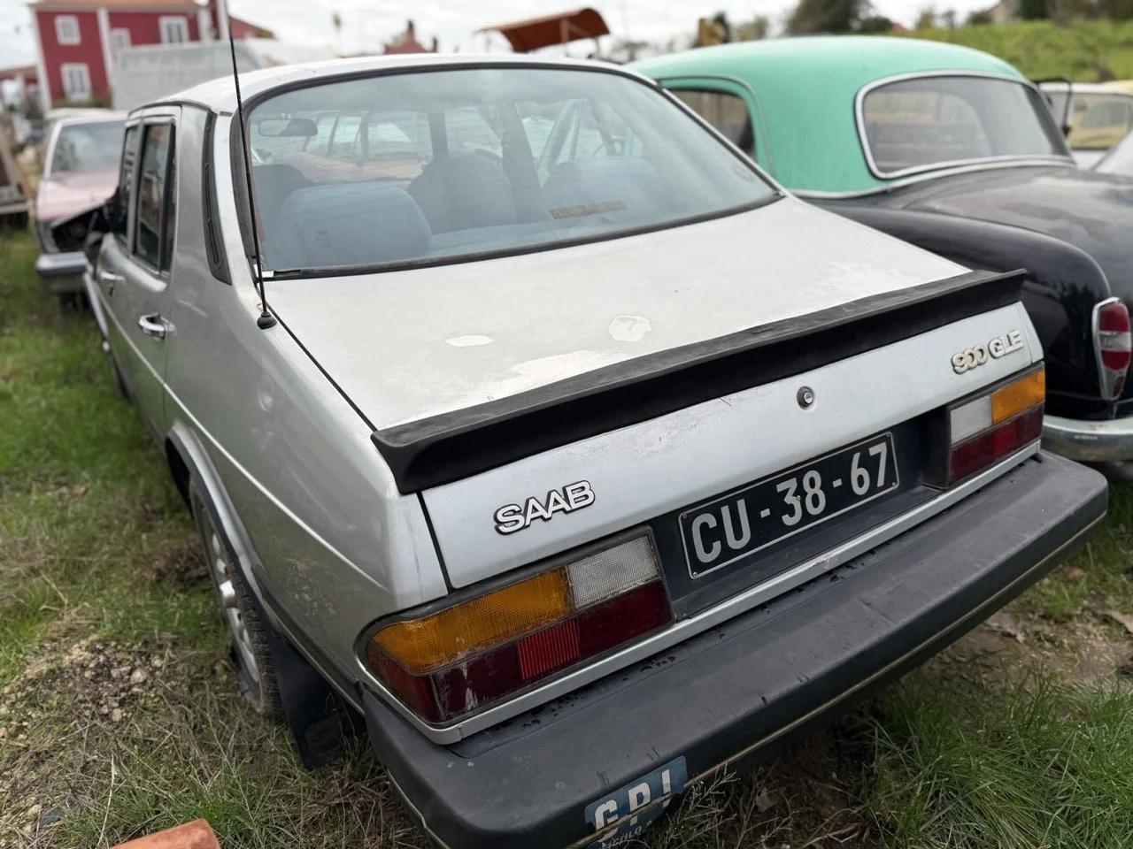 IMG_4997 – grande.jpeg