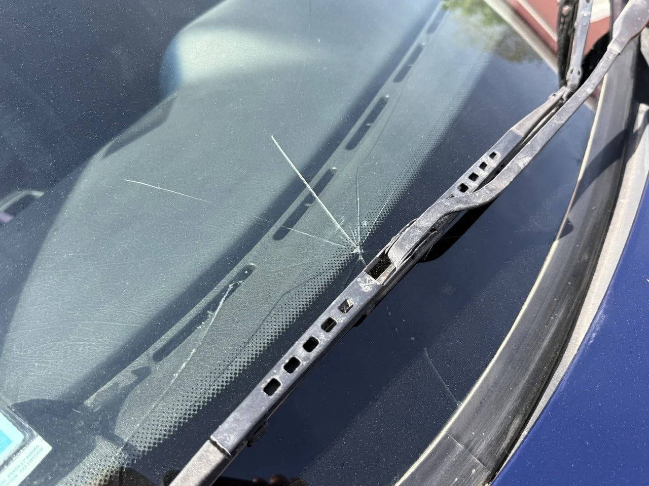 IMG_2485 – grande.jpeg