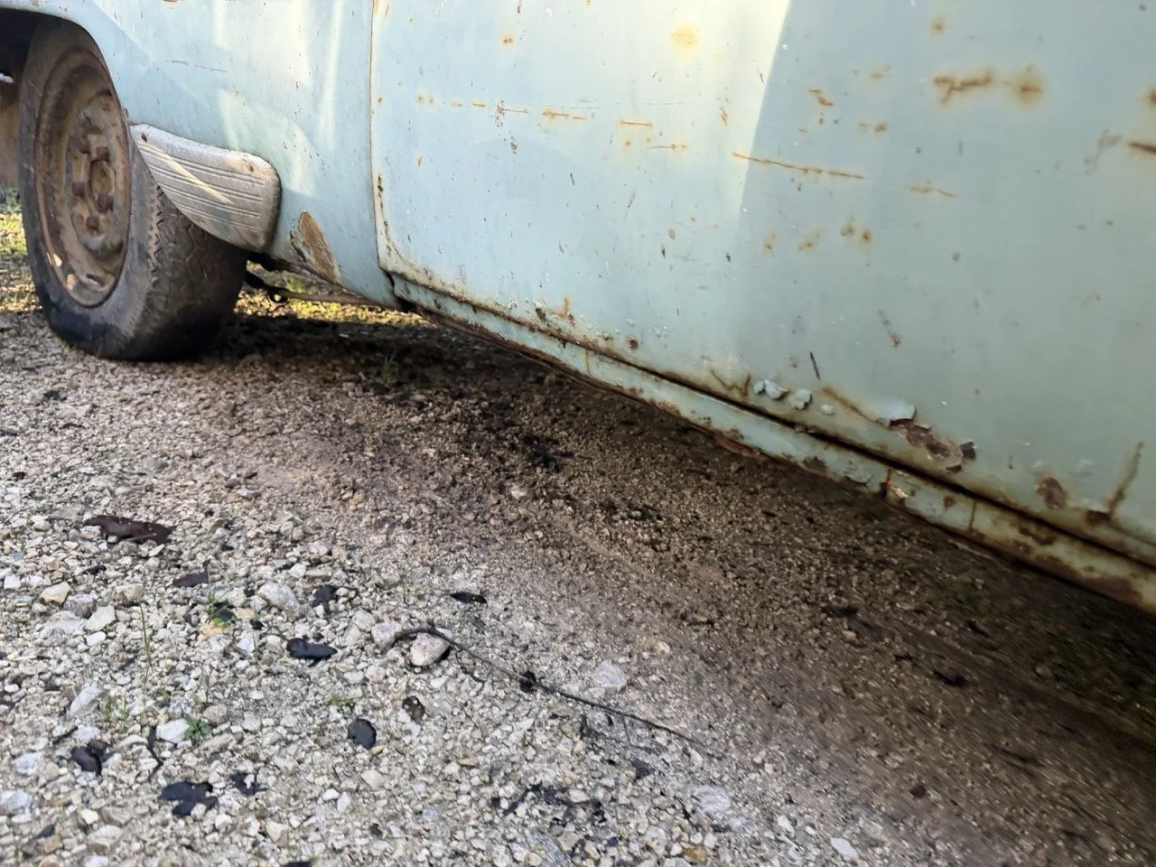 IMG_4065 – grande.jpeg