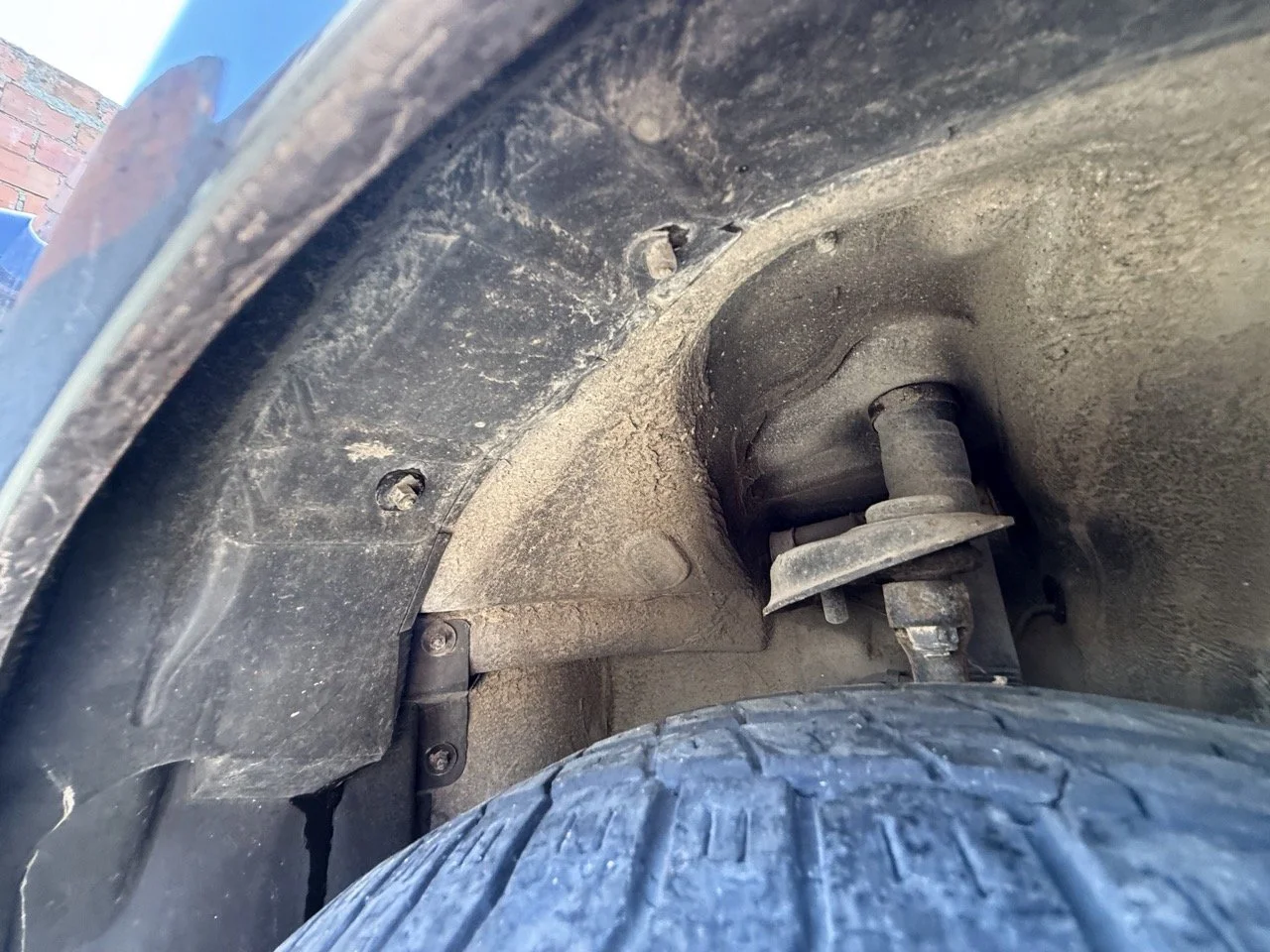 IMG_1818 – grande.jpeg