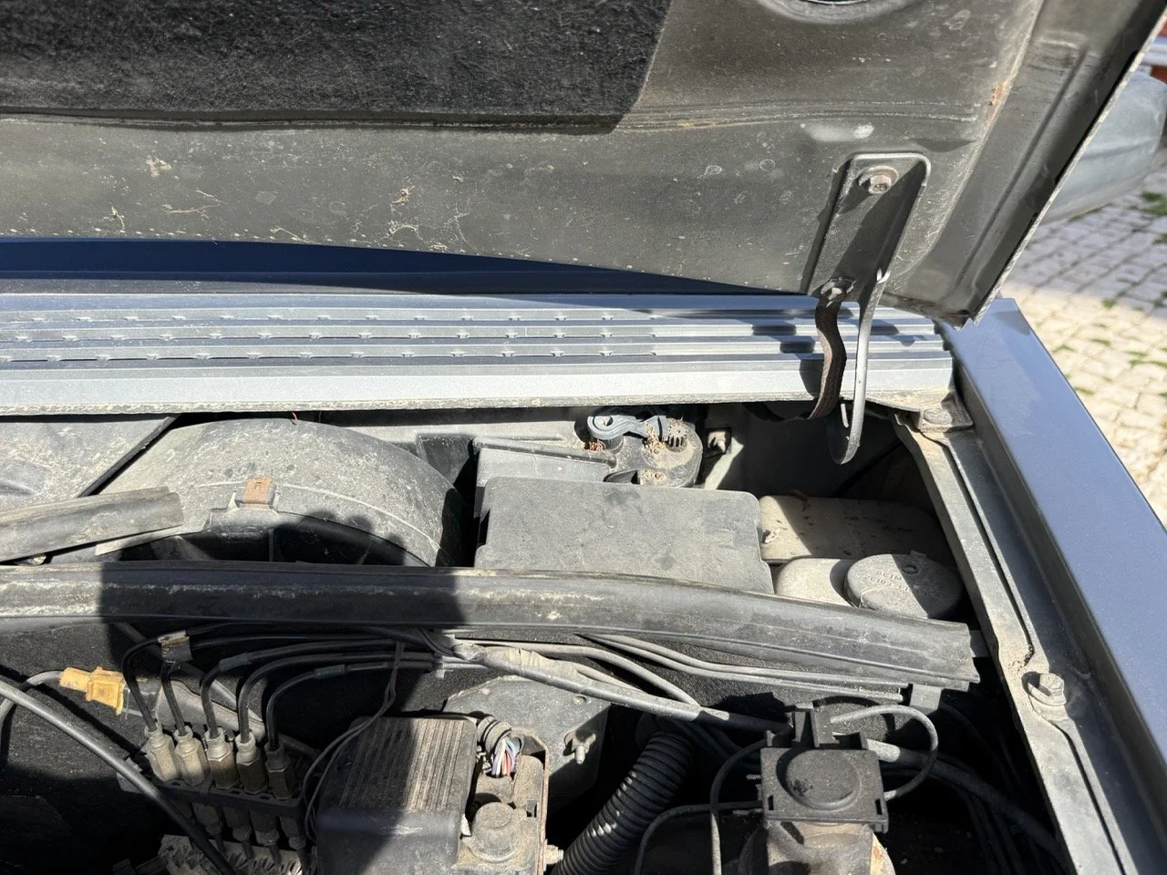 IMG_2602 – grande.jpeg