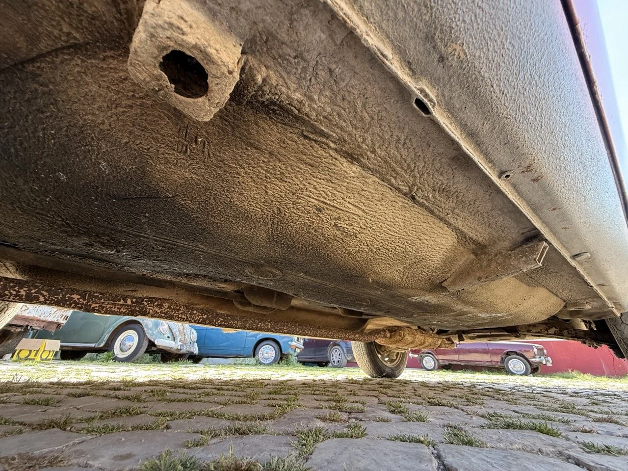 IMG_2359 – grande.jpeg