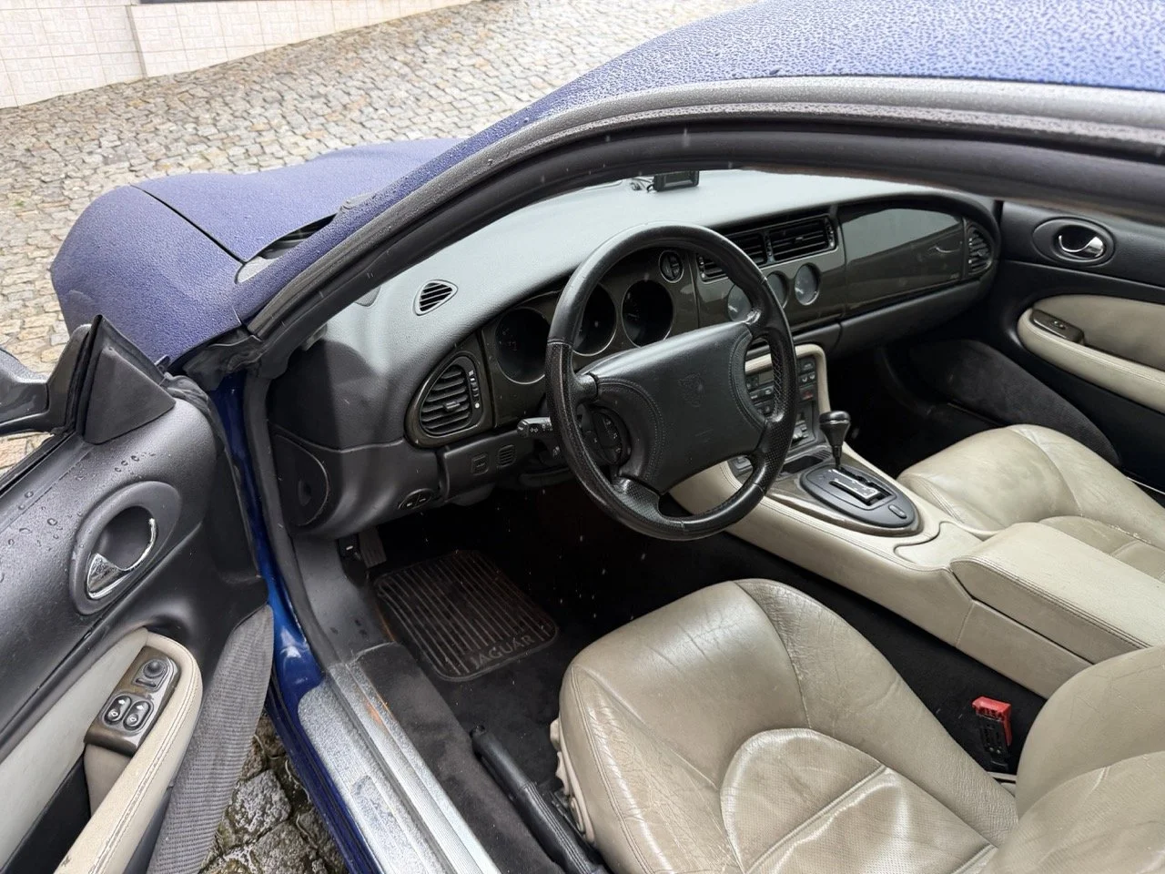 IMG_3613 – grande.jpeg