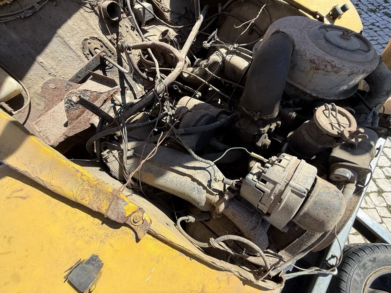 IMG_9150 – grande.jpeg